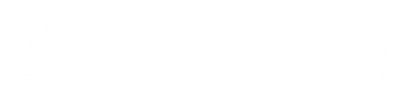 MK PROGRAM